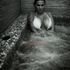 Thumbnail Image 6 of Adelaide Escort Queen Rose 