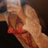 Thumbnail Image 2 of Penrith Escort Kota 