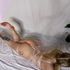 Thumbnail Image 7 of Perth Escort Evee Eros