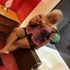 Thumbnail Image 0 of Perth Escort JOJO