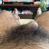 Thumbnail Image 3 of Perth Male Escort Charlie