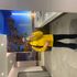 Thumbnail Image 4 of Perth Male Escort Honey 