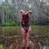 Thumbnail Image 3 of Sunshine Coast Escort Anaya