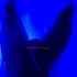 Thumbnail Image 8 of Sunshine Coast Male Escort Tyler Banks