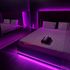 Thumbnail Image 3 of Sydney Adult Job City Rose Kingsford