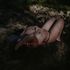 Thumbnail Image 1 of Canberra Body Rub Aria Woods