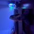 Thumbnail Image 3 of Sydney Escort Gigi White