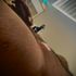 Thumbnail Image 1 of Sydney Male Escort Revan