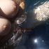 Thumbnail Image 11 of Sydney Escort Sativa Belladonna 