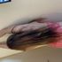 Thumbnail Image 4 of Sydney Escort Ashley