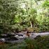 Thumbnail Image 6 of Sydney Escort Luna River