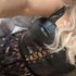 Thumbnail Image 7 of Tanunda Escort Belinda Jones