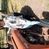 Thumbnail Image 5 of Bairnsdale Escort Linda Jones