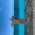 Thumbnail Image 4 of Melbourne Escort Lena
