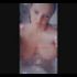 Thumbnail Image 11 of Perth Escort Unicorn Pleazure 