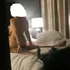 Thumbnail Image 0 of Melbourne Male Escort Roxx