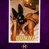 Thumbnail Image 0 of Canberra Escort Bunni 0480 094 199
