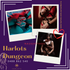 Harlots Dungeon 0488 862 540 - Canberra Escort - Thumbnail Image 2