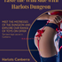 Harlots Dungeon 0488 862 540 - Canberra Escort - Thumbnail Image 3