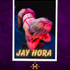 Thumbnail Image 0 of Canberra Escort Jay Hora 0480 090 150