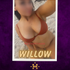 Thumbnail Image 0 of Canberra Escort Willow  0480 094 199
