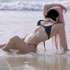Thumbnail Image 11 of Melbourne Escort Evie Star