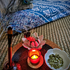 Thumbnail Image 10 of Melbourne Male Body Rub Yussif Akkad